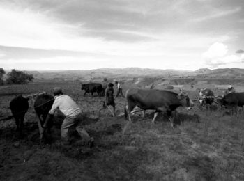 Medico dei Campesinos